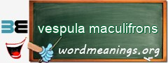 WordMeaning blackboard for vespula maculifrons